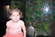 2011-02-21 12-21-00_0128